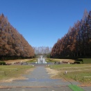 県立相模原公園