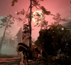 【Soulframe】ボスの場所とコガ