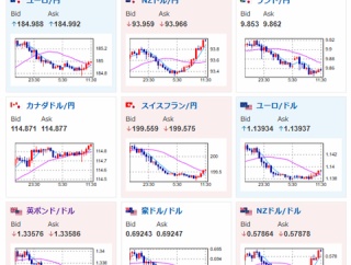 【為替相場】片山財務相のGPIF発言は口先介入レベルか　構造的円売り止まらず1ドル162円台半ば　日経平均は続落　本日米CPI、ウォーシュ氏発言あり
