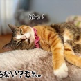 親切と余計なお世話は紙一重