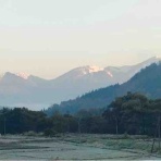 コルチカム's　ＬＩＦＥ日記