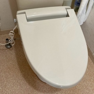 セガレの知恵袋