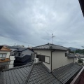 愛猫の旅立ち