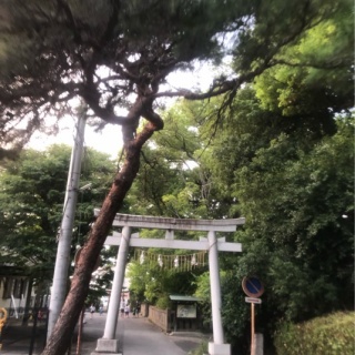 人生そんなに甘くない