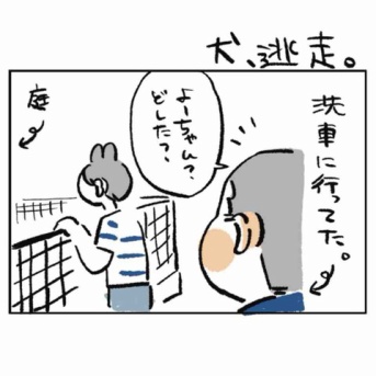 犬、逃走。