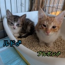 千葉から来ました😻