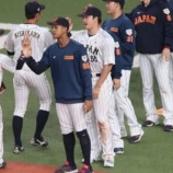 『負けて覚える相撲かな』の画像