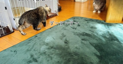 可哀想なぐらい女子ウケ悪い村尾