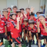 『気付かせる』の画像