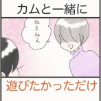 カムと一緒に遊びたかっただけ