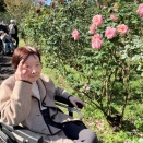 京成バラ園へ🌹