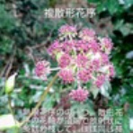岩殿満喫クラブ　岩殿 Day by Day