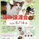自分の病院、猫の病院＆鮭のチラシ寿司