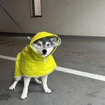 観音裏黄昏備忘録