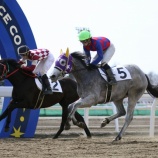 『【移籍馬情報】ホッカイドウ競馬・2歳移籍馬情報～第3弾・佐賀編～』の画像