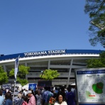 大日本観戦記録