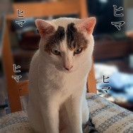 薬が切れそう。と、和紙のラムネ瓶つくりました。