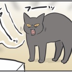おそらくその平凡こそ幸せ　猫と私と家族の日常