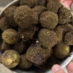  ( ͡⊙ ͜ʖ ͡⊙) ココアシガレット・アンダーグラウンド ( ͡◉ ͜ʖ ͡◉)