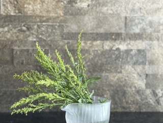 やってはいけない日に限って…