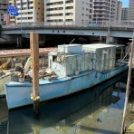 クラフトビールと盆栽の日記@高知