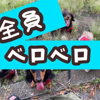 やっとこさ。