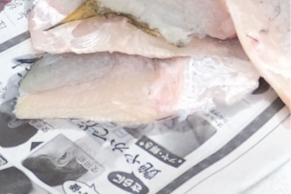 牛太の魚飼育採集に人生全振り計画 ブラックバス