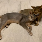 ちび子とぼくちん