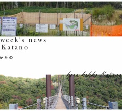 星のブランコちょっと紅葉しつつあったり、南星台バス停前の崖工事ほぼ終わったり【今週のかたの】