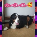 💧シャンプーまでされたよ🔥