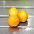 ガスコンロの餅焼き網で焼き肉🥩