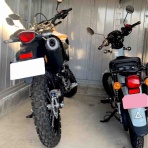 健康新幹線運行状況