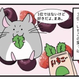 『わさびが好きな草おやつランキング〜！』の画像