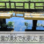 　桜 咲久也の日記　　理想国家日本の条件　自立国家日本