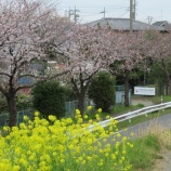 『グラウンドは乾いていますが空模様が気になります』の画像
