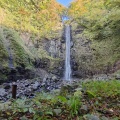 秋の旅13日目午後〜平安時代の城輪の柵跡と落差80mの玉簾の滝を見学❗️