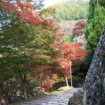 「藍川京」の部屋