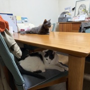あなたが居なくなって3年が経ちました