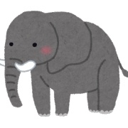 サイとカバが地上生物最強のゾウに挑んだ結果ｗｗｗｗｗ 画像あり Mashlife通信