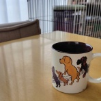 おうちが好きすぎて