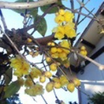 団塊Kei　こころ模様