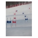 基礎スキーヤーへ向けたポール入門トレーニング