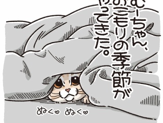 ひょっこりにゃん