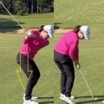 ◆絶滅危惧種のゴルフクラブ創ります