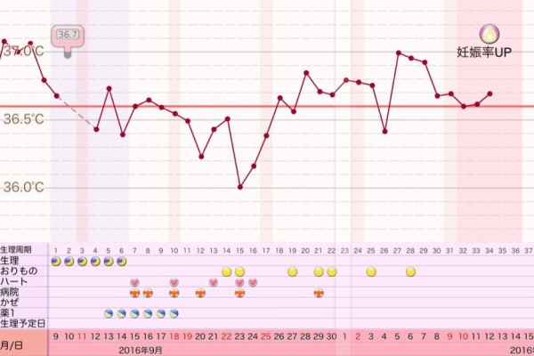 田舎主婦のわくわく妊婦生活 9周期目 クロミッド フォリスチム