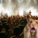 KingGnuのライブ　バケモンが居てヤバい・・・