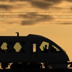 ohanefu　blog　 ～snap photo～