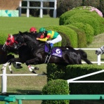クロミちゃんの競馬日記