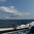 6月1日　日曜日　アジ釣り・落とし込み