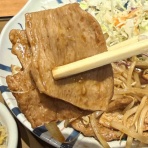 たぬきパラダイス